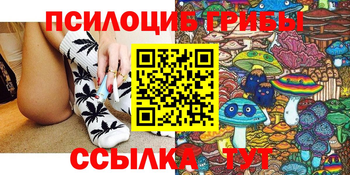 Галлюциногенные грибы Psilocybine cubensis Губкин